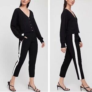 Aritzia Babaton Conan Pant